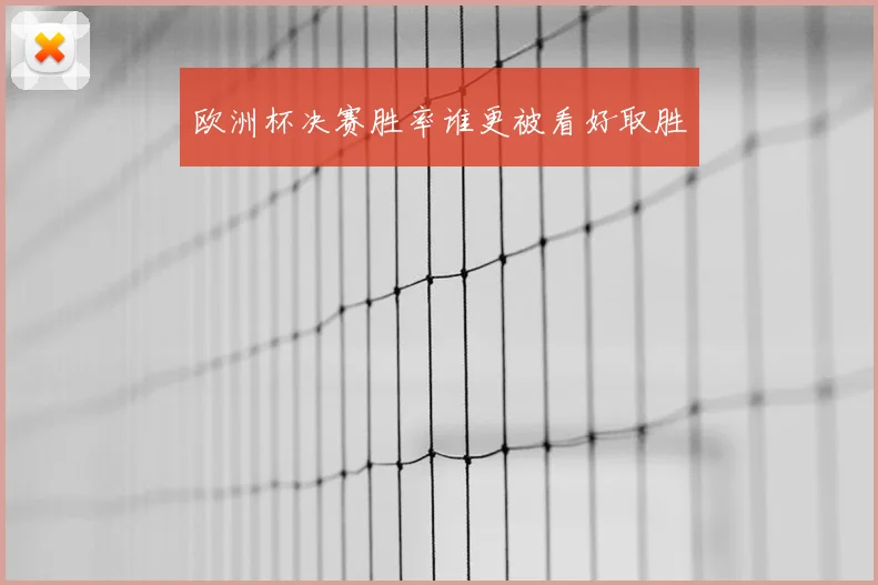 欧洲杯决赛胜率谁更被看好取胜