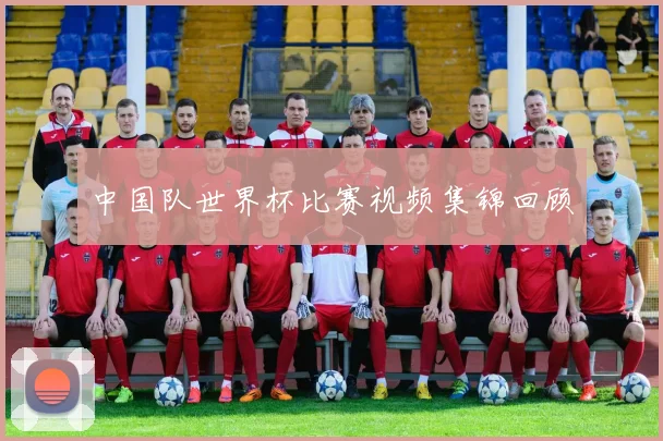 中国队世界杯比赛视频集锦回顾