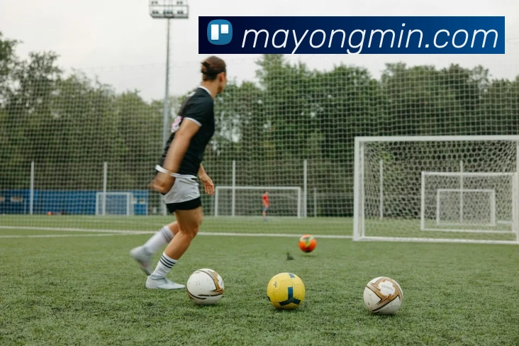 多媒体互动体验